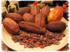 Какао бобы отборные "Насиональ" 200 гр